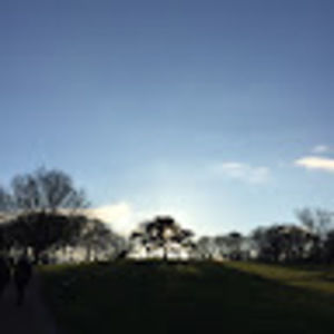 Meet your Posher, Odile